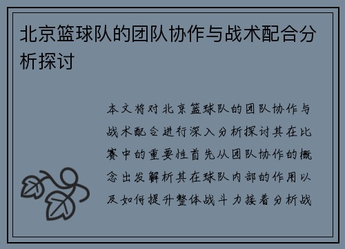 北京篮球队的团队协作与战术配合分析探讨
