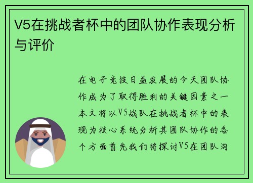 V5在挑战者杯中的团队协作表现分析与评价